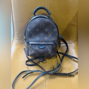 Louis Vuitton Monogrammed Palm Springs mini back pack